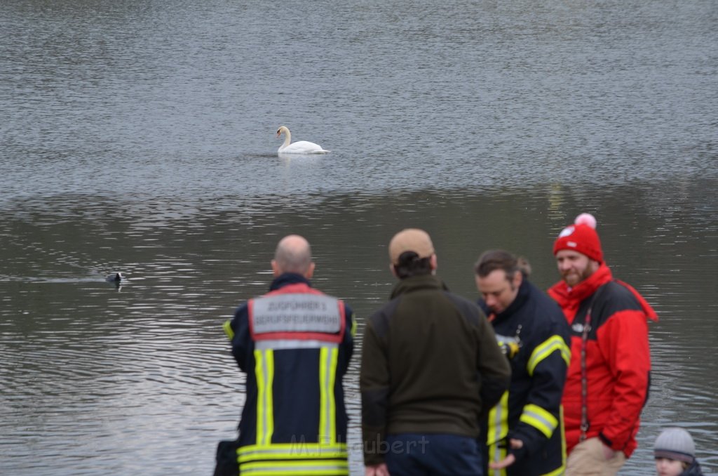 Einsatz BF Schwan mit Angelschnur Koeln Decksteiner Weiher P35.JPG - Miklos Laubert